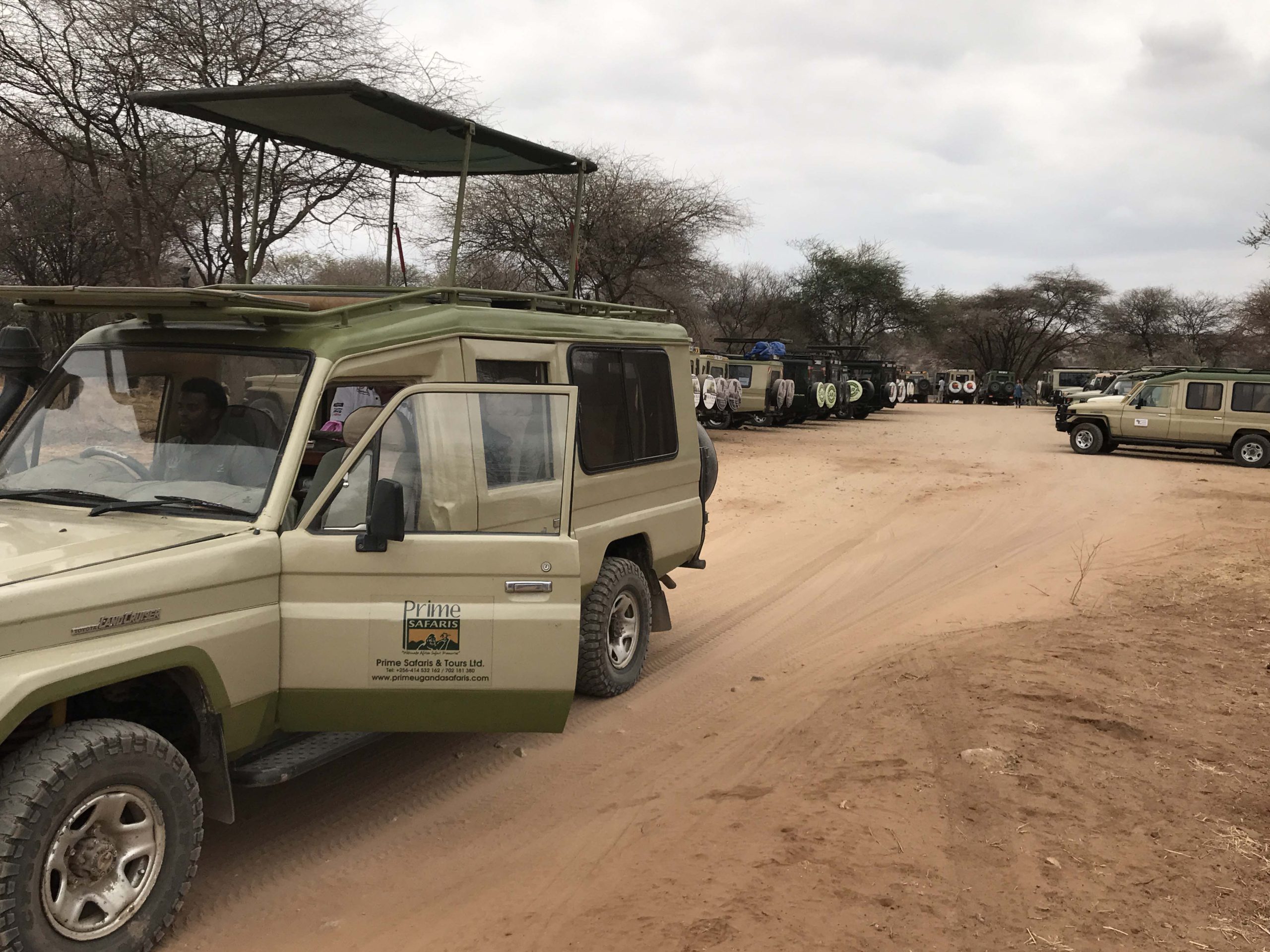 Top Rwanda Tour Companies