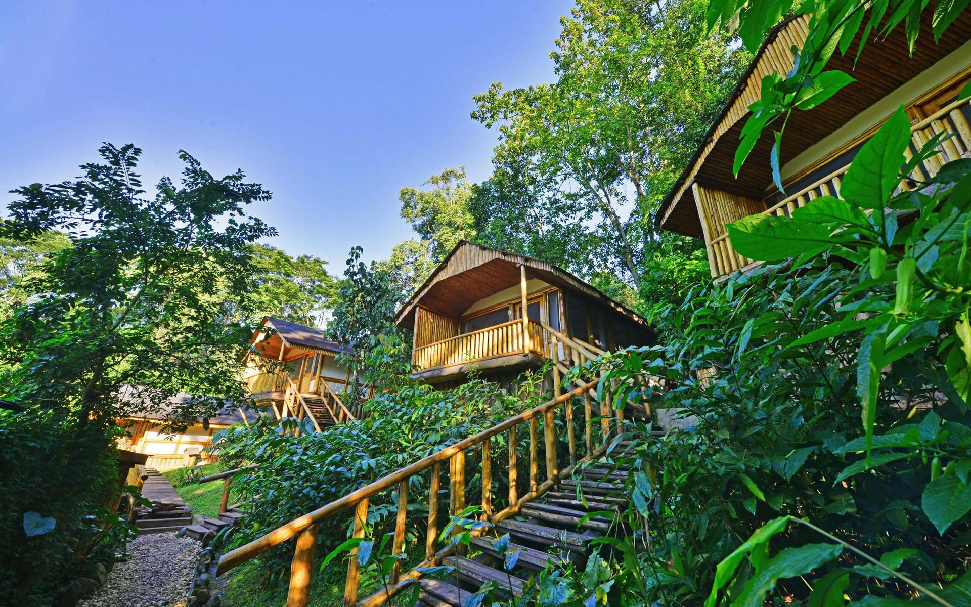 Cultural Experiences in Bwindi