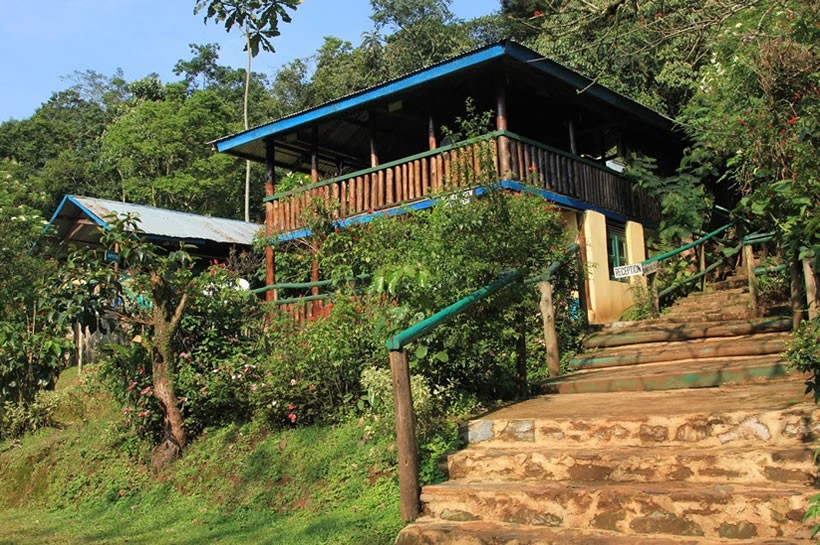 Budget Accommodation in Bwindi national park