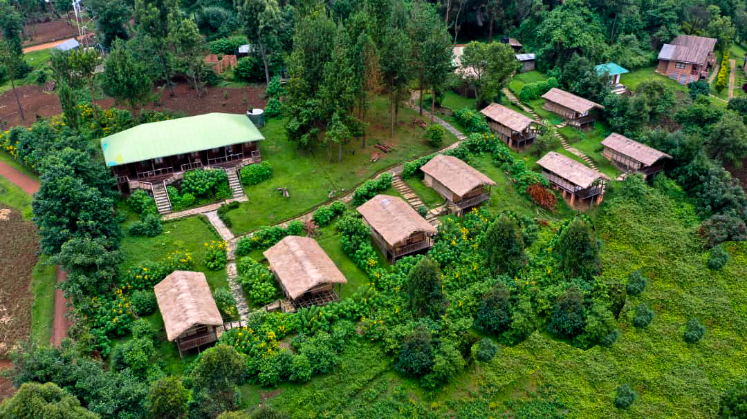 Luxury Safari Lodges in Bwindi