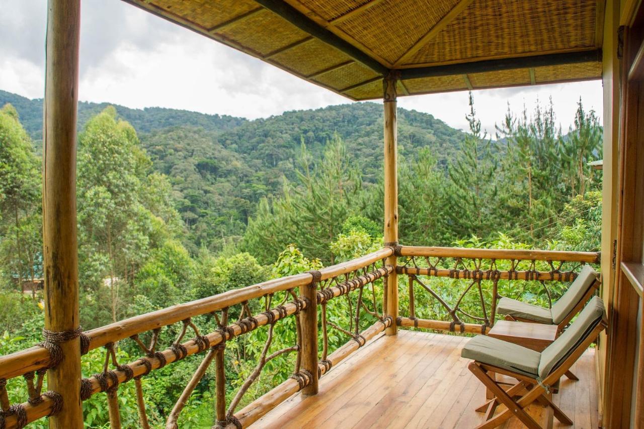 Mid-range Lodges in Bwindi National Park