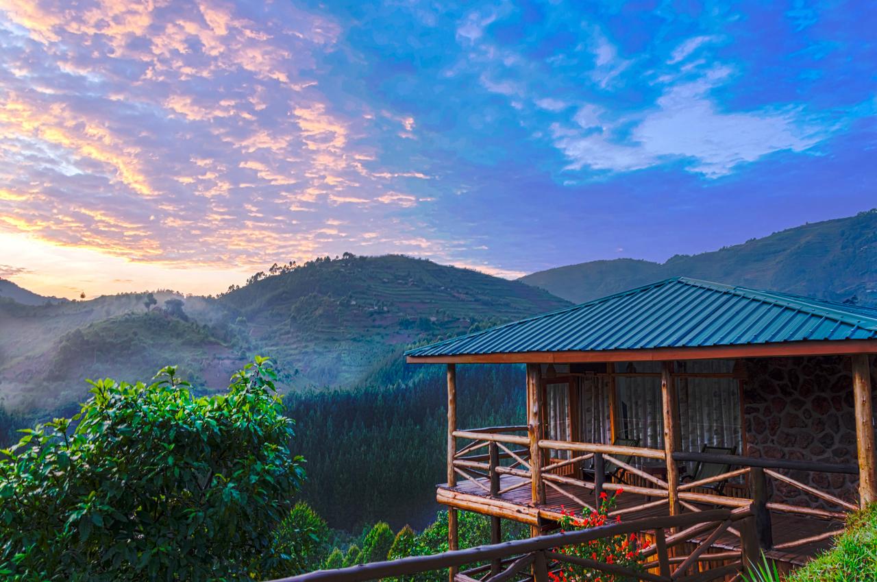 Luxury Safari Lodges in Bwindi