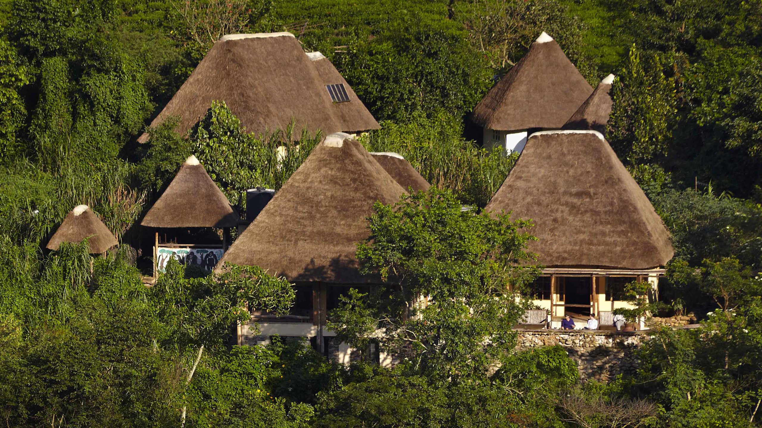 Bwindi Midrange Lodges