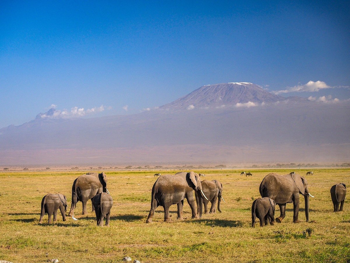 Amboseli National Park