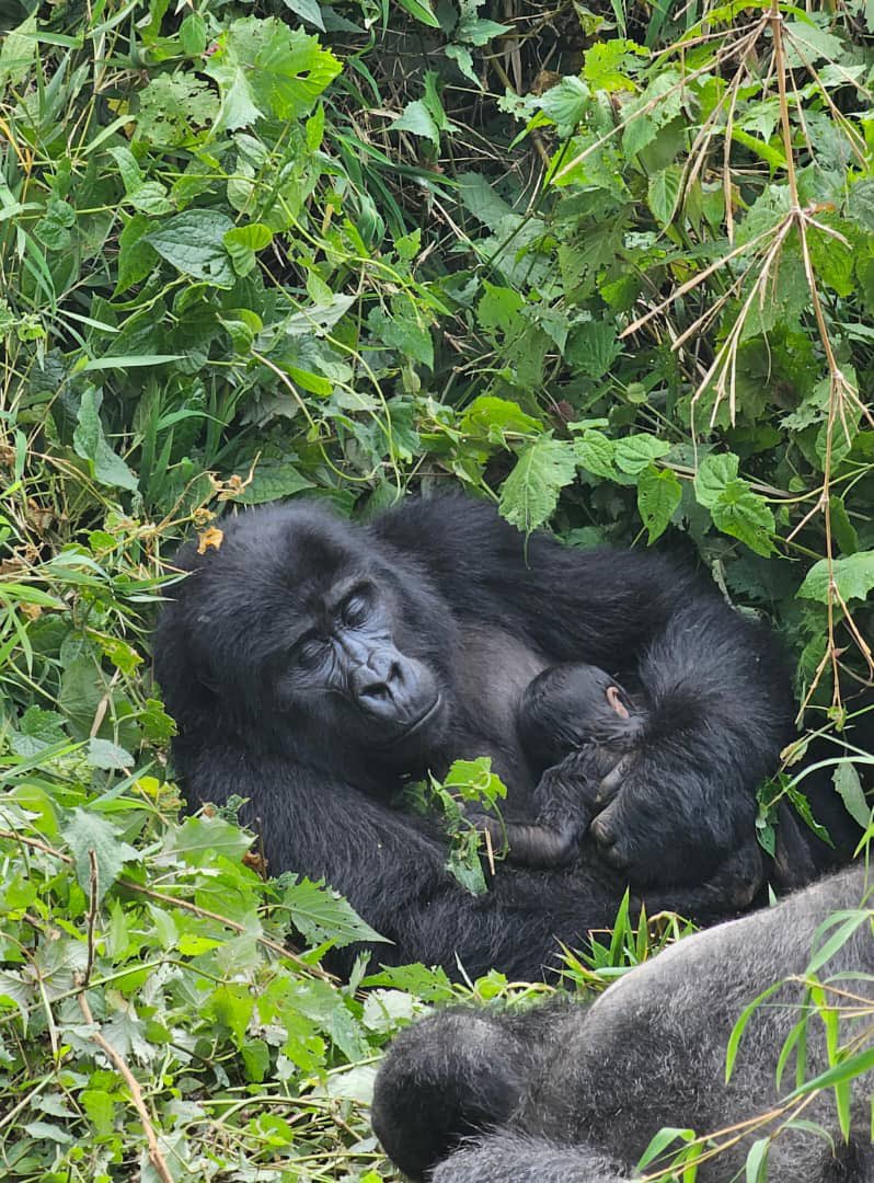 New UWA Tariffs 2026-27